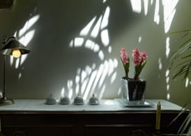 Hotel Ibarra Zalla 2