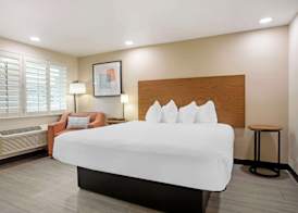 Best Western Shadow Inn 4