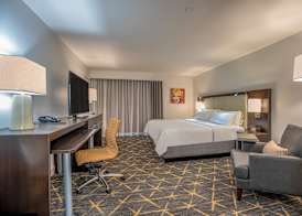 Holiday Inn NEW ORLEANS-DOWNTOWN SUPERDOME by IHG 5