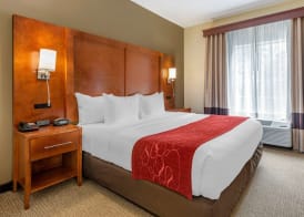 Comfort Suites Newark - Harrison 4