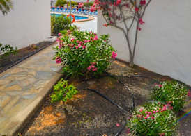 Bungalows Castillo Club Lake 2