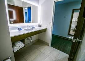 Holiday Inn Express & Suites BATON ROUGE -PORT ALLEN by IHG 2