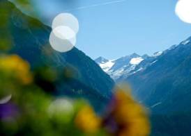 Hotel Gasthof Abelhof 2