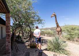 Windhoek Game Camp 4