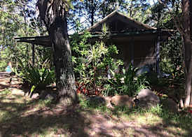 Byron Bay Rainforest Resort 4