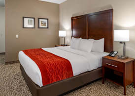 Comfort Inn & Suites Canton Riverstone Area 2