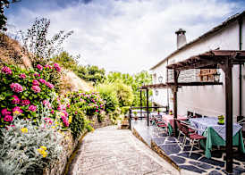 Finca Los Llanos 3