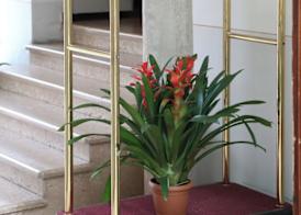 Hotel Antica Dimora, MantegnaHotels 3