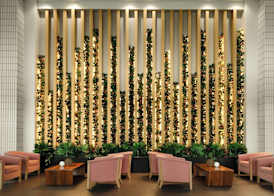 Sheraton Tampa Brandon Hotel 2