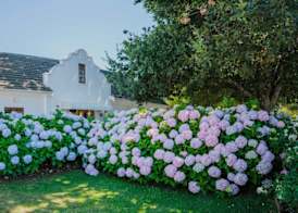 Aan de Oever Guesthouse 3