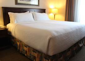 Holiday Inn & Suites WEST EDMONTON by IHG 4