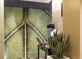 Serendipity Rooms 4