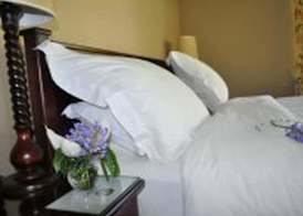 Plumbago Guest House 5