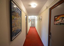 Hostal La Palmera 5