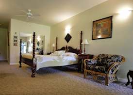 Island Goode's - Luxury Adult Only Accommodation near Hilo 4