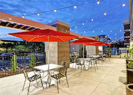 Home2 Suites By Hilton Tampa USF Near Busch Gardens 2