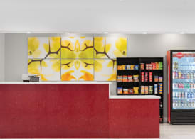 Orlando International Drive North Hotel 2
