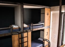 Black Swan Hostel Sevilla 5