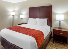 Comfort Inn Hoffman Estates - Schaumburg 4