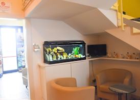 Hotel Suprem sul Mare 2