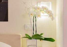 Albergo la Castellana 5
