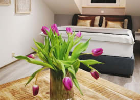Spa Residence Seibold 3