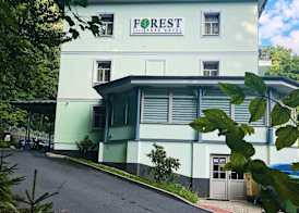 Parkhotel Forest 5