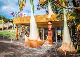 Easter Island Ecolodge 5