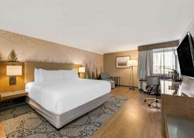 Aiden by Best Western Flagstaff 5