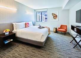 Hotel Mariposa 5