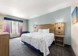 Best Western Plus San Antonio East Inn & Suites 4