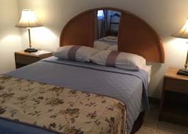 Palm View Guesthouse and Conference Centre 5
