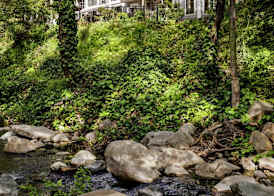 The Inn at Saratoga, Tapestry Collection by Hilton 4