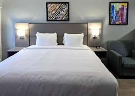 MainStay Suites Prince George - Fort Lee 3