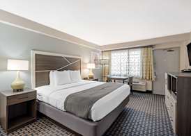 Best Western Plus Daytona Inn Seabreeze 5