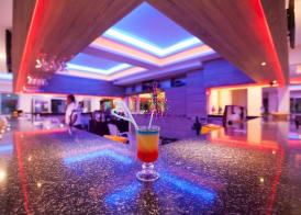 Catty Cats Garden Hotel 4