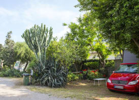 Camping Degli Ulivi 5