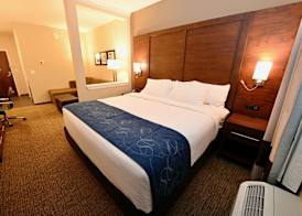 Comfort Suites Newnan 5