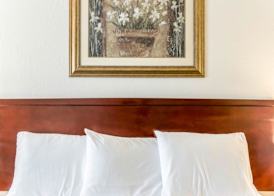 Econo Lodge Monticello 5