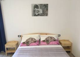 Agriturismo da Ysy 3