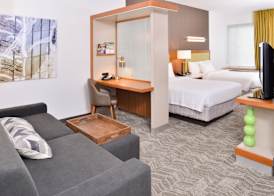 SpringHill Suites Ashburn Dulles North 5