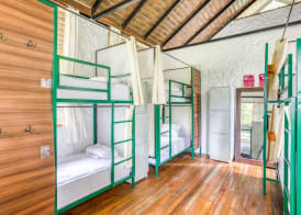Cotococha Amazon River Lodge 4