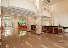 Hilton Grand Vacations at the Flamingo 5