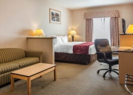 Comfort Inn & Suites Airport Convention Center 5