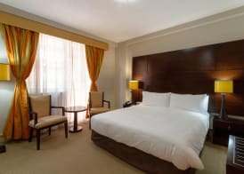 Holiday Inn JOHANNESBURG SUNNYSIDE PARK by IHG 4