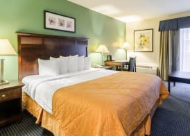 Rodeway Inn & Suites Williamsburg Central 4