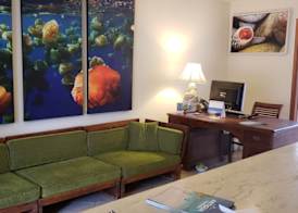 Antigua Superyacht Marina & Resort 2