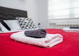 Bright 1BDR Apartment in the City Center 3
