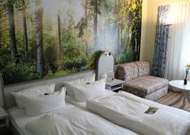 Hotel Rennsteig 4