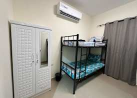 Palm Inn Hostel Mix Dormitory 5